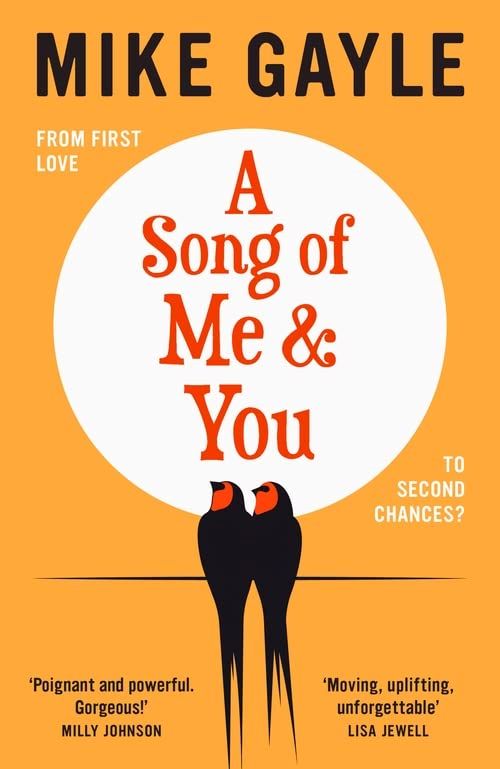 A_song_of_me_and_you_book_cover