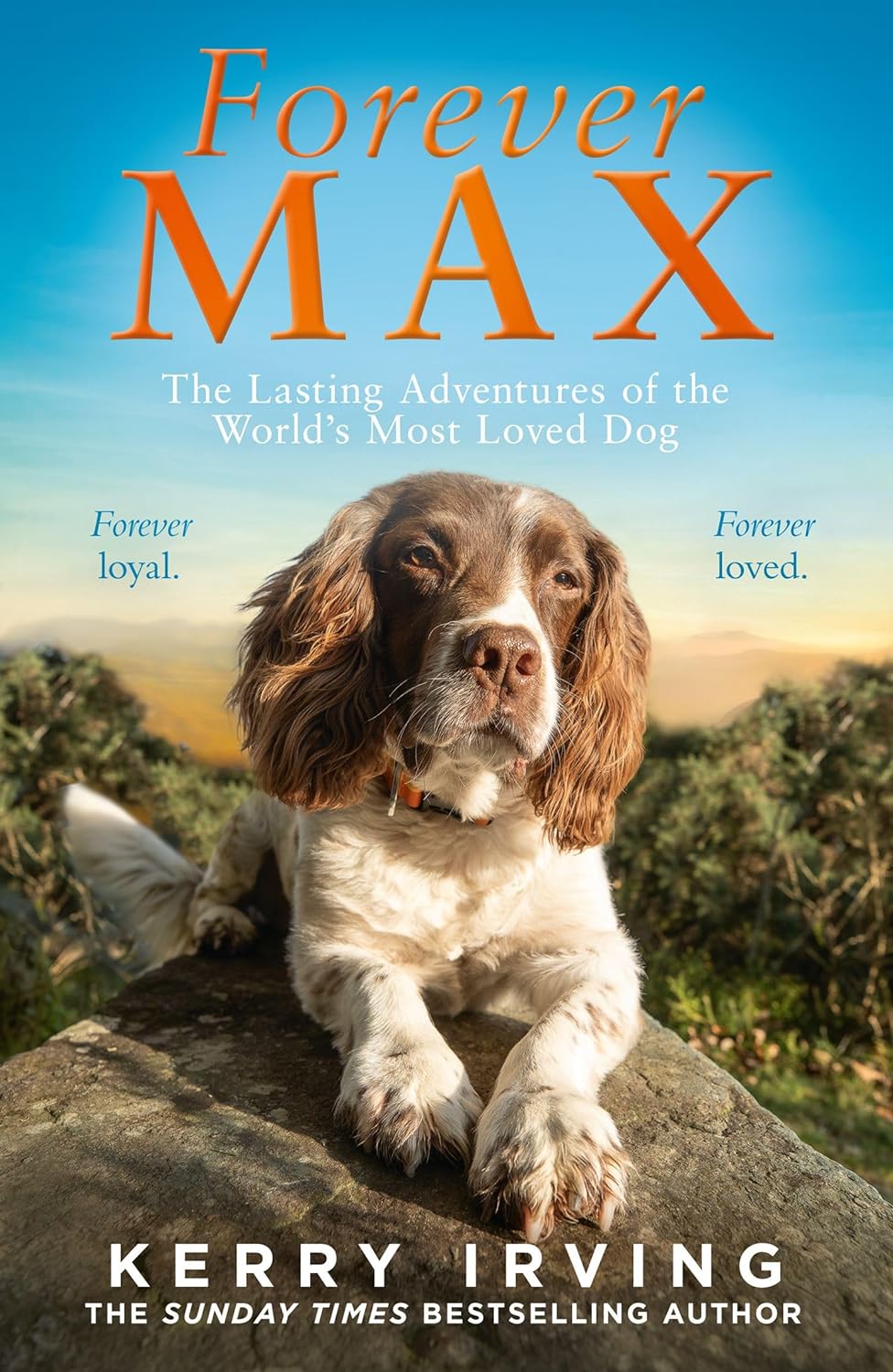 Forever_Max_book_cover