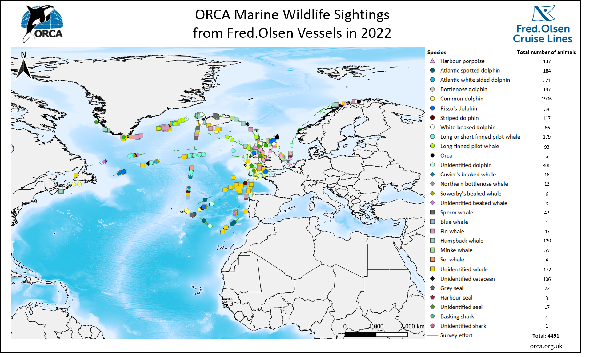 Orca sightings in 2022