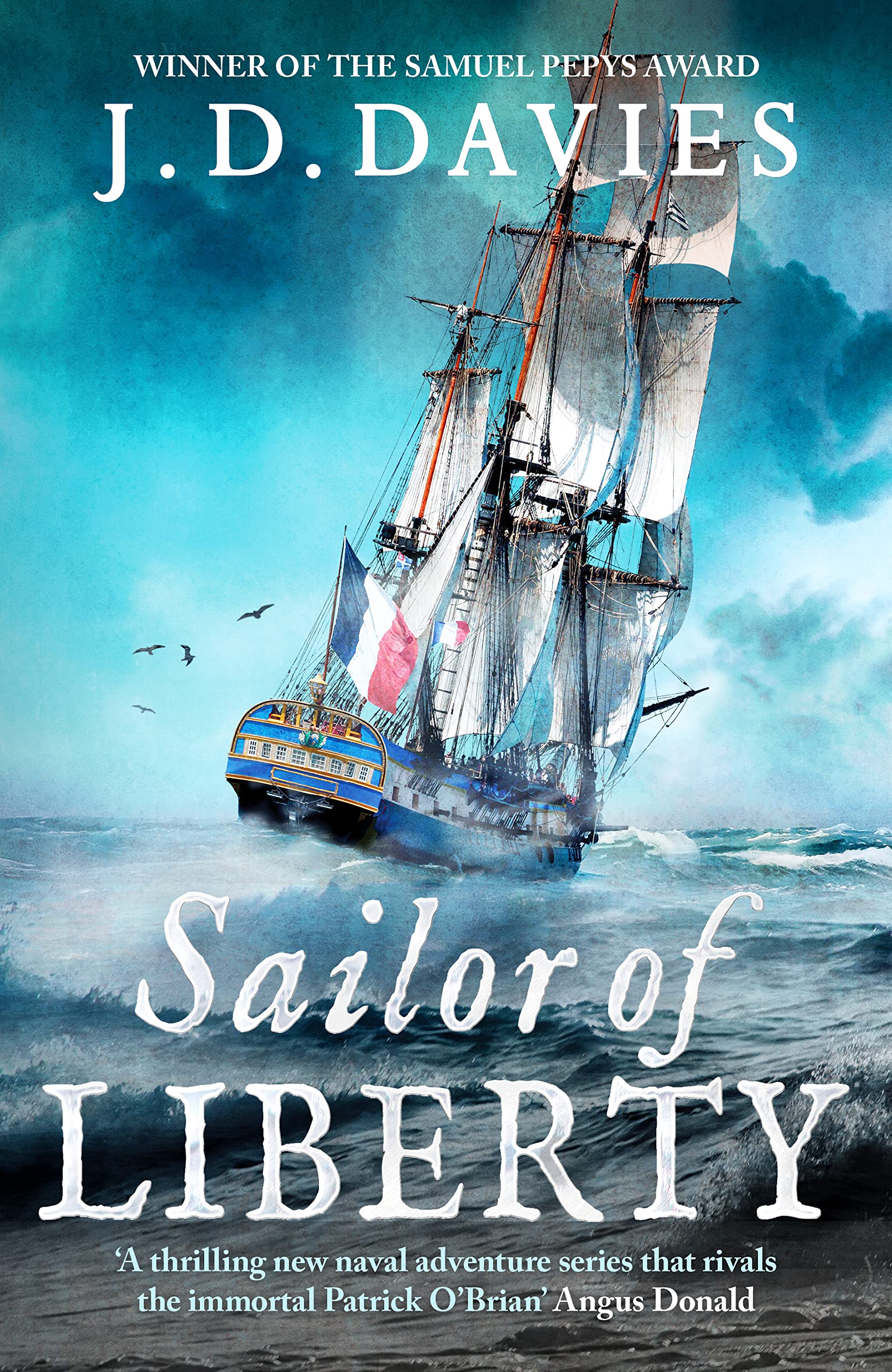 The Sailor of liberty book cover