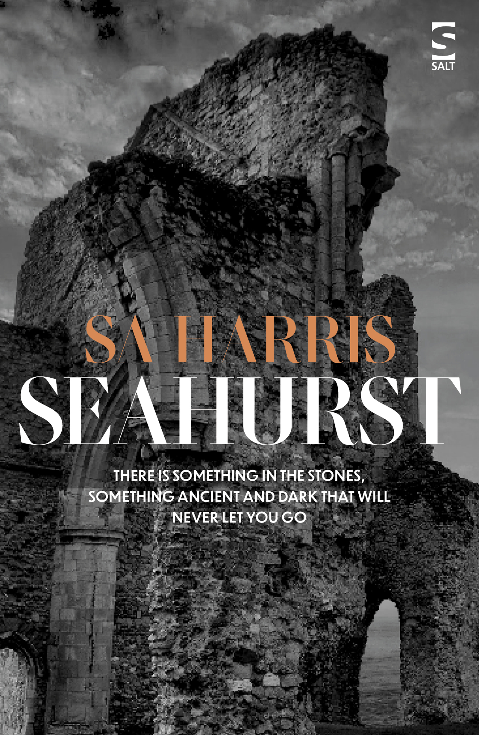 Seahurst book cover