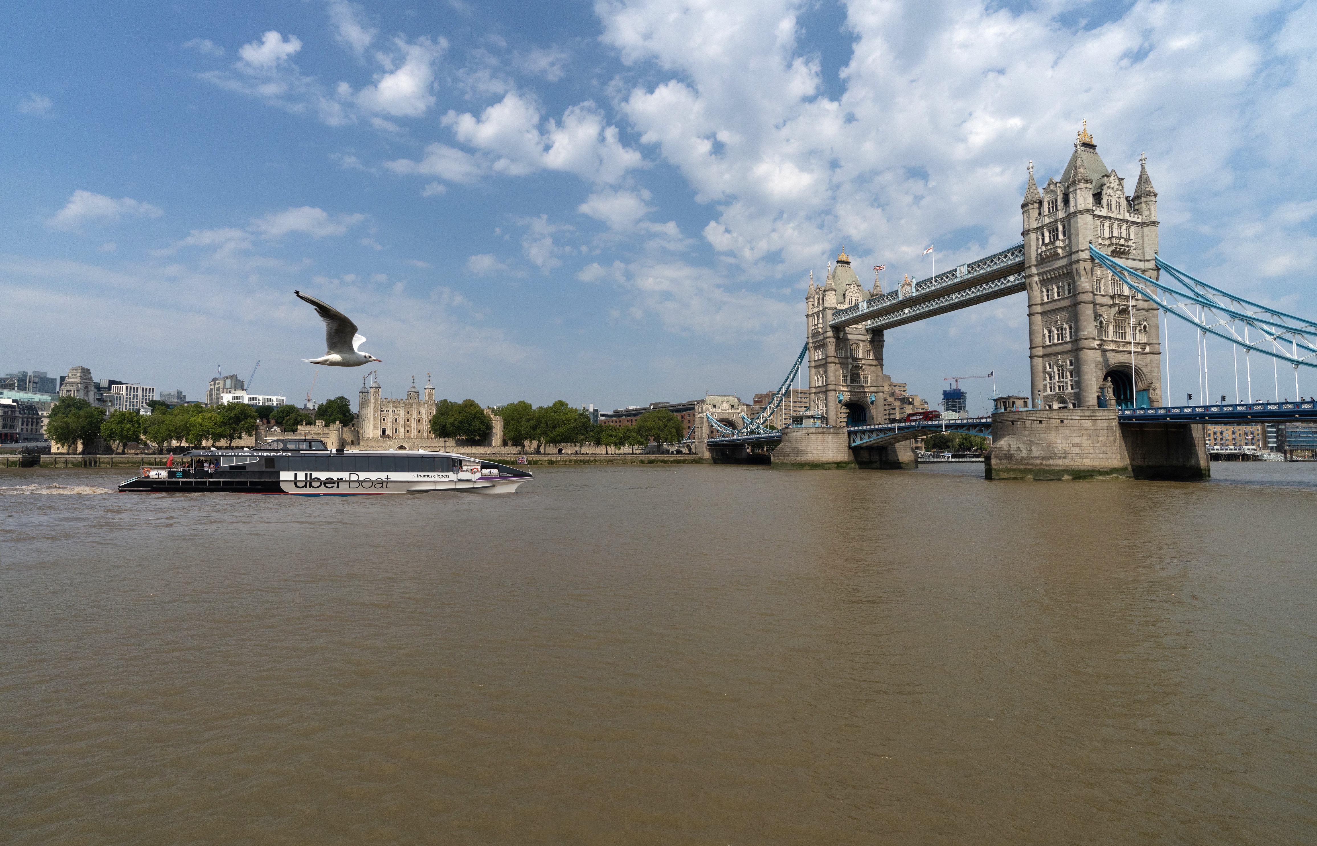 Uber_Boat_by_Thames_Clippers_Tower_Bridge