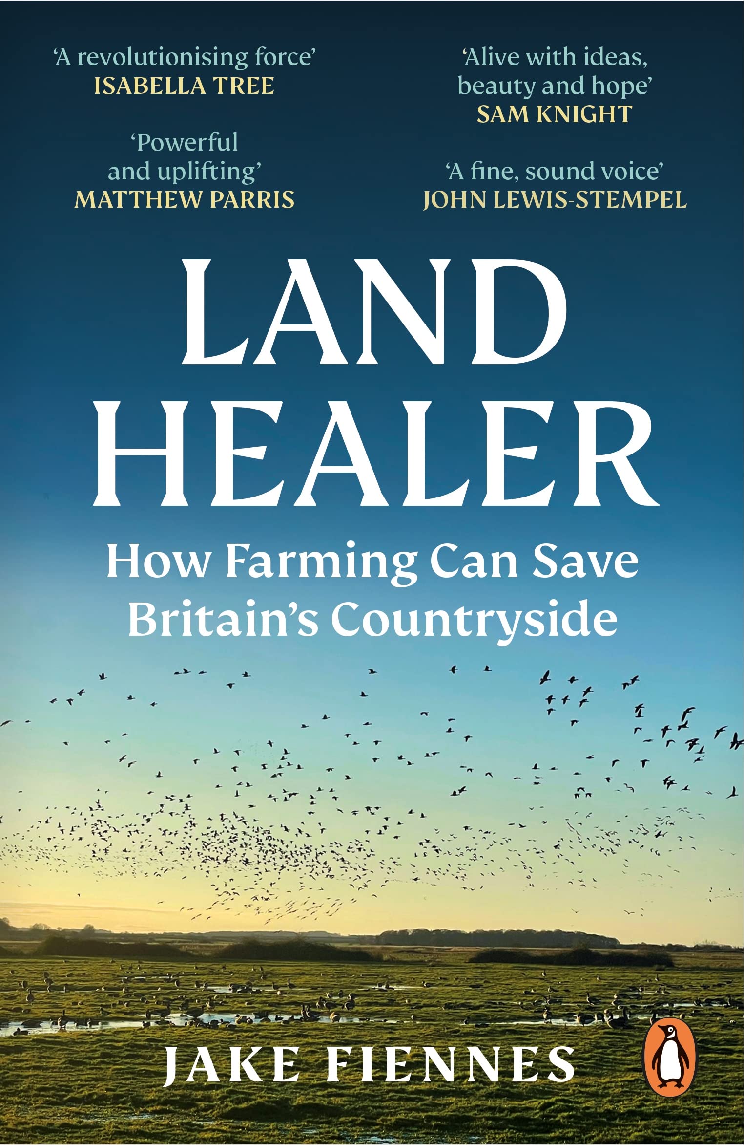 Land healer paperback book cover