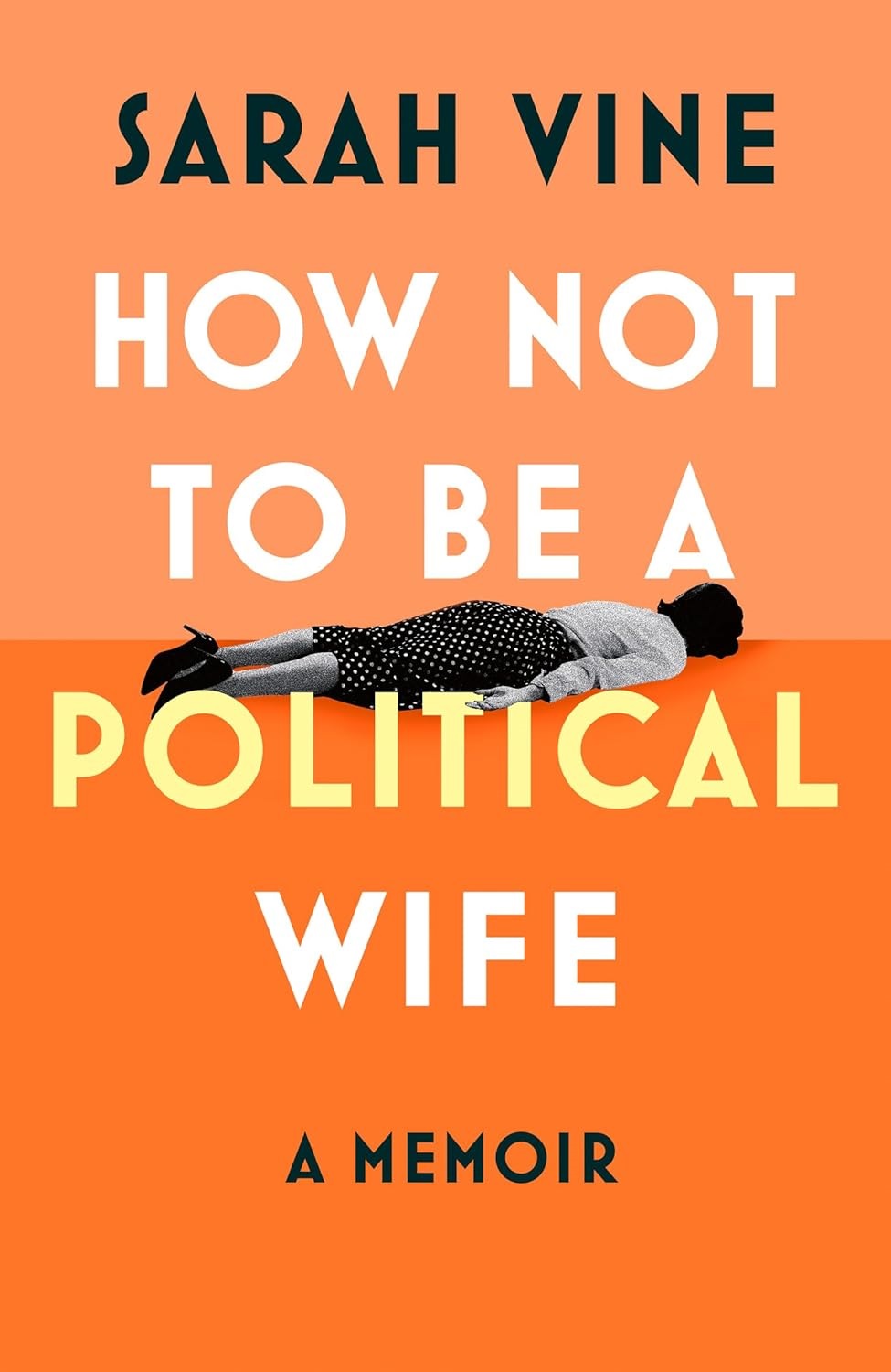 Sarah_Vine_how_not_to_be_a_political_wife_book_cover