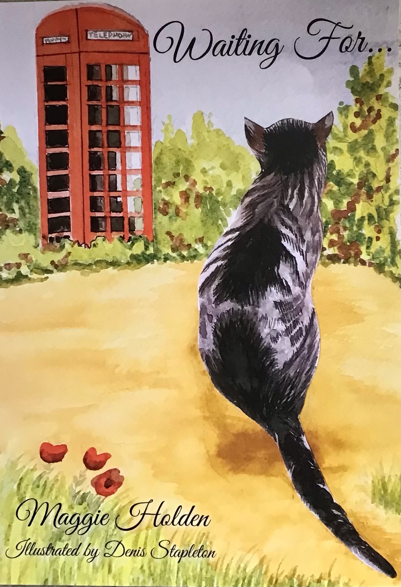 Waiting for cats book front cover