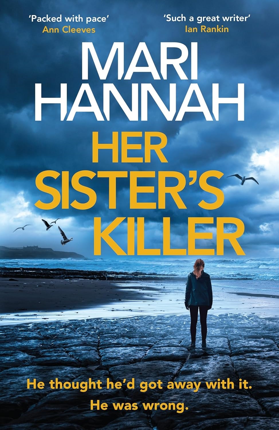 Her_Sisters_Killer_book_cover.