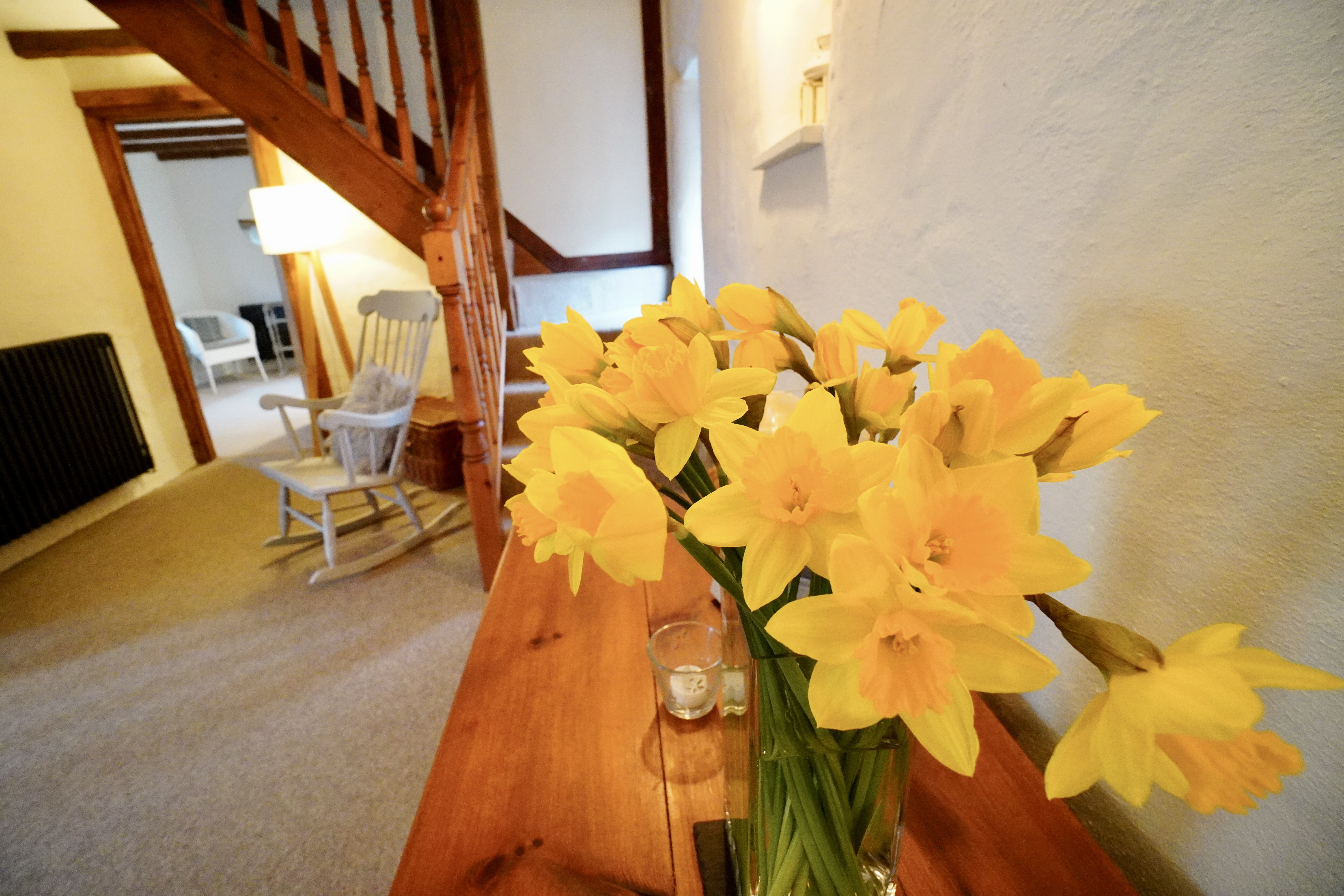 Dafoldills Dafoldills