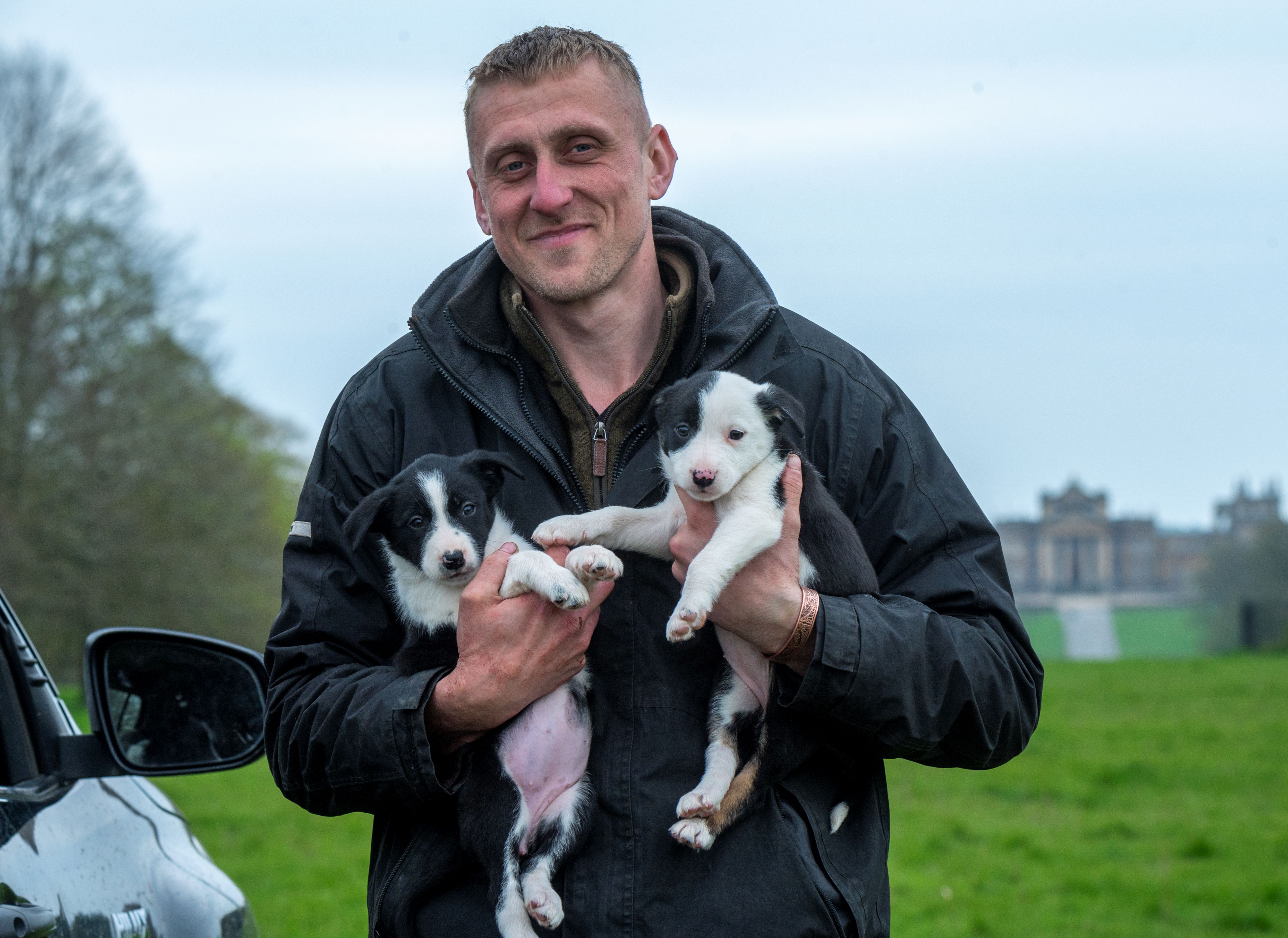 Puppies_at_Blenheim_A_Credit_Pete_Seaward