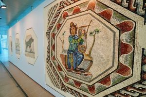 Roman_mosaics_in_Vienne